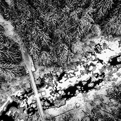 Petri Naukkarinen Photography Luontokuvaus